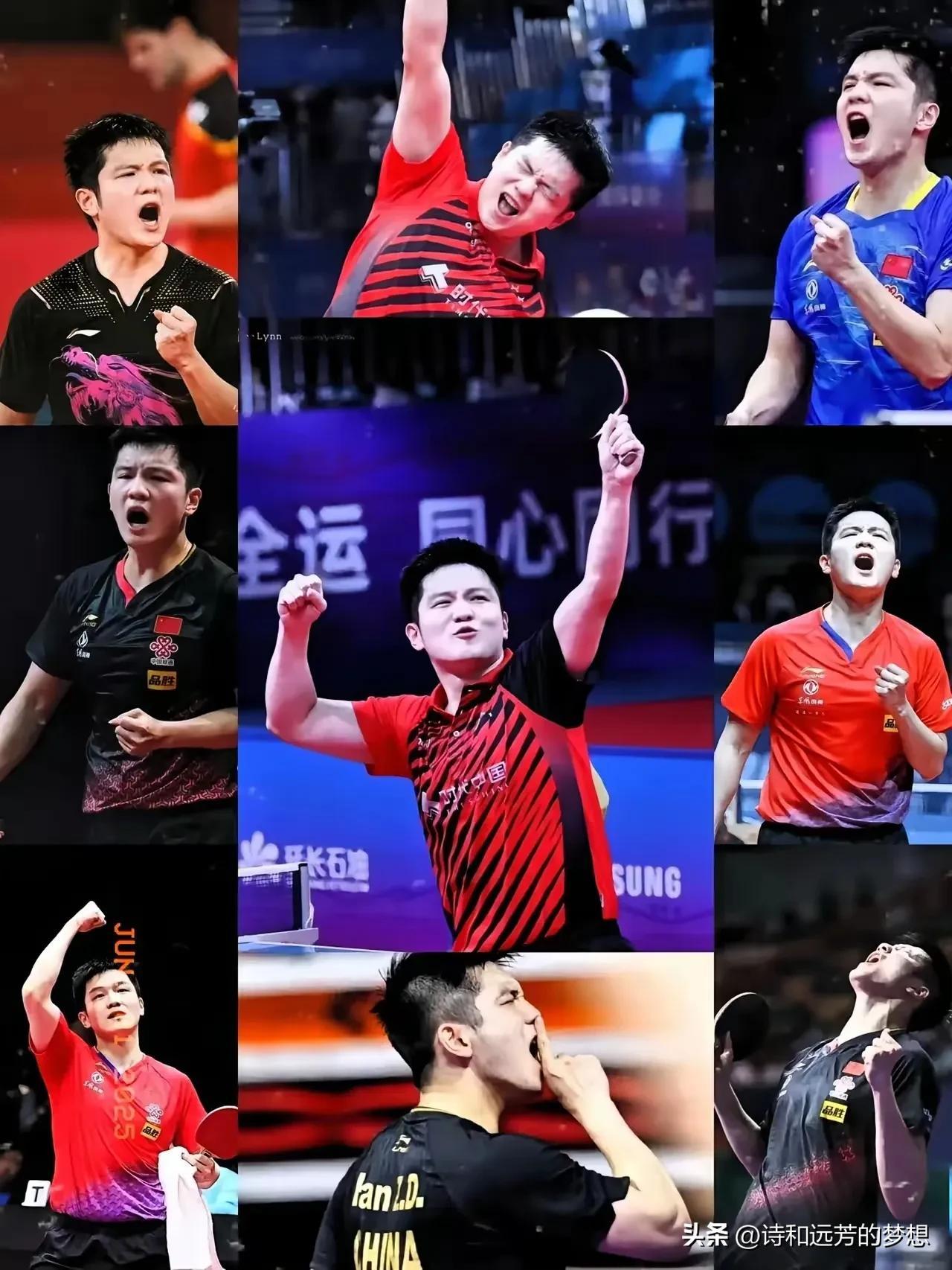 比利时乒乓球队横扫波兰乒乓球队，许昕统治全场