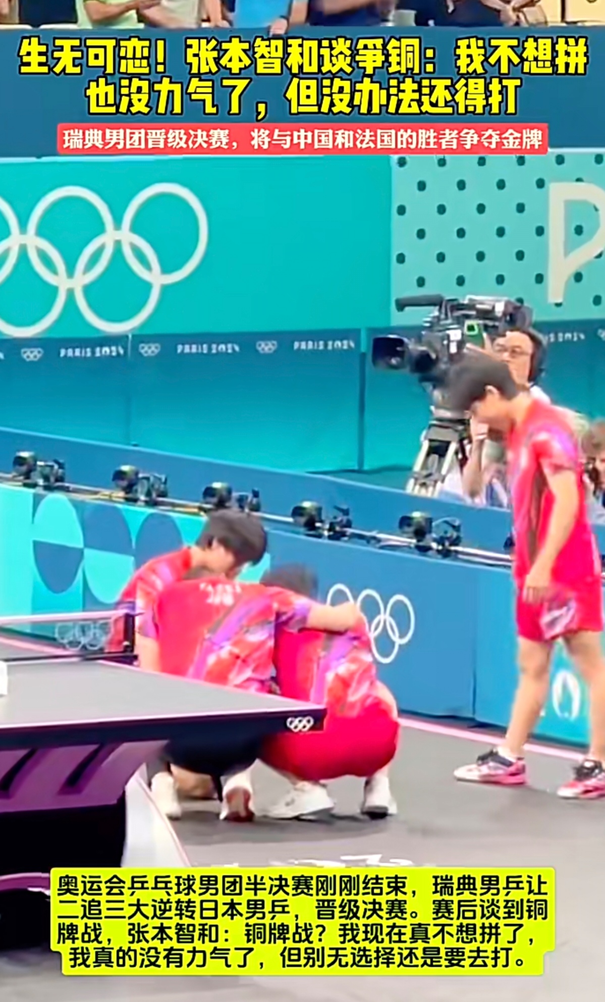 英格兰队轻取法国队，张本智和统治全场