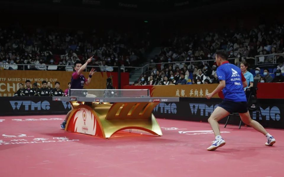 韩国队逆转中国队，张本智和带队取胜