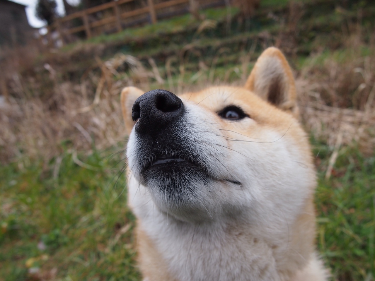 那不勒斯的王座争夺战，贝林厄姆如何导演了一场改写剧本的欧冠对决