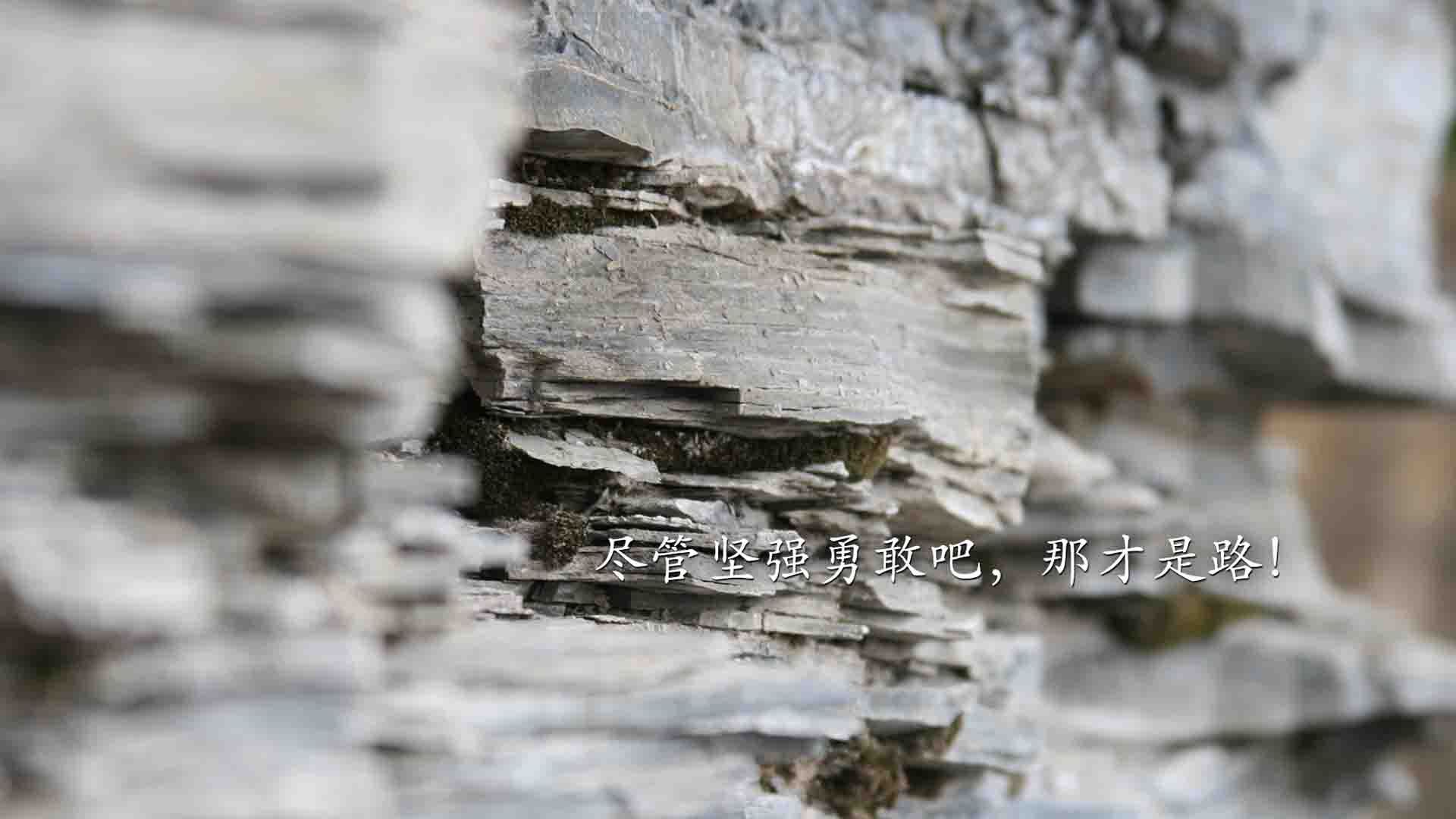 波斯湾的星光照亮路易二世球场，当伊朗幻象遇上摩洛哥雄狮，C罗的冠军魂穿越时空助阵