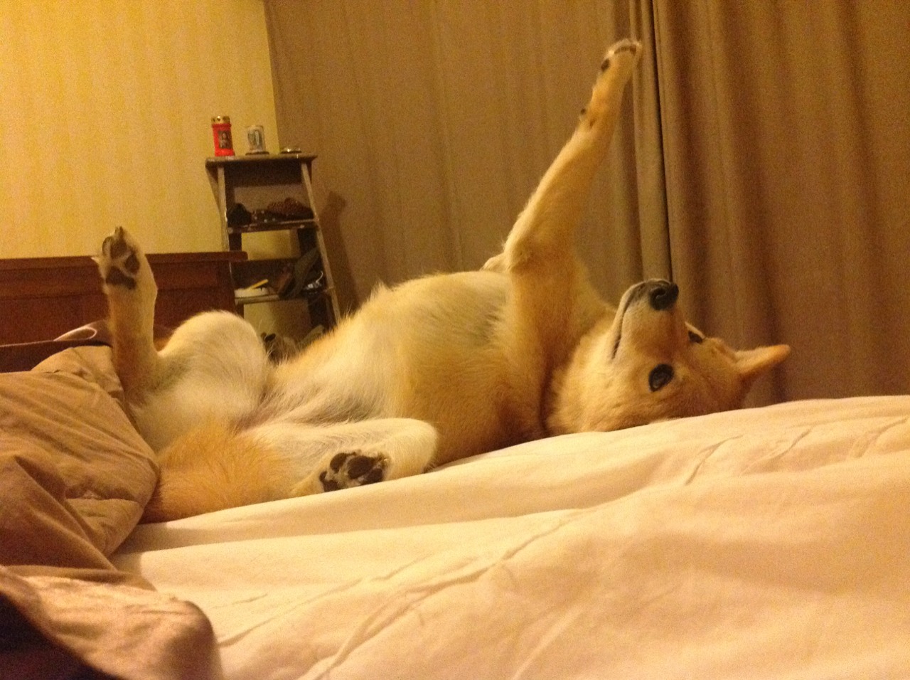 搏命之战,比利亚雷亚尔钢铁防线突围,布雷默化身关键先生斩落皇家社会