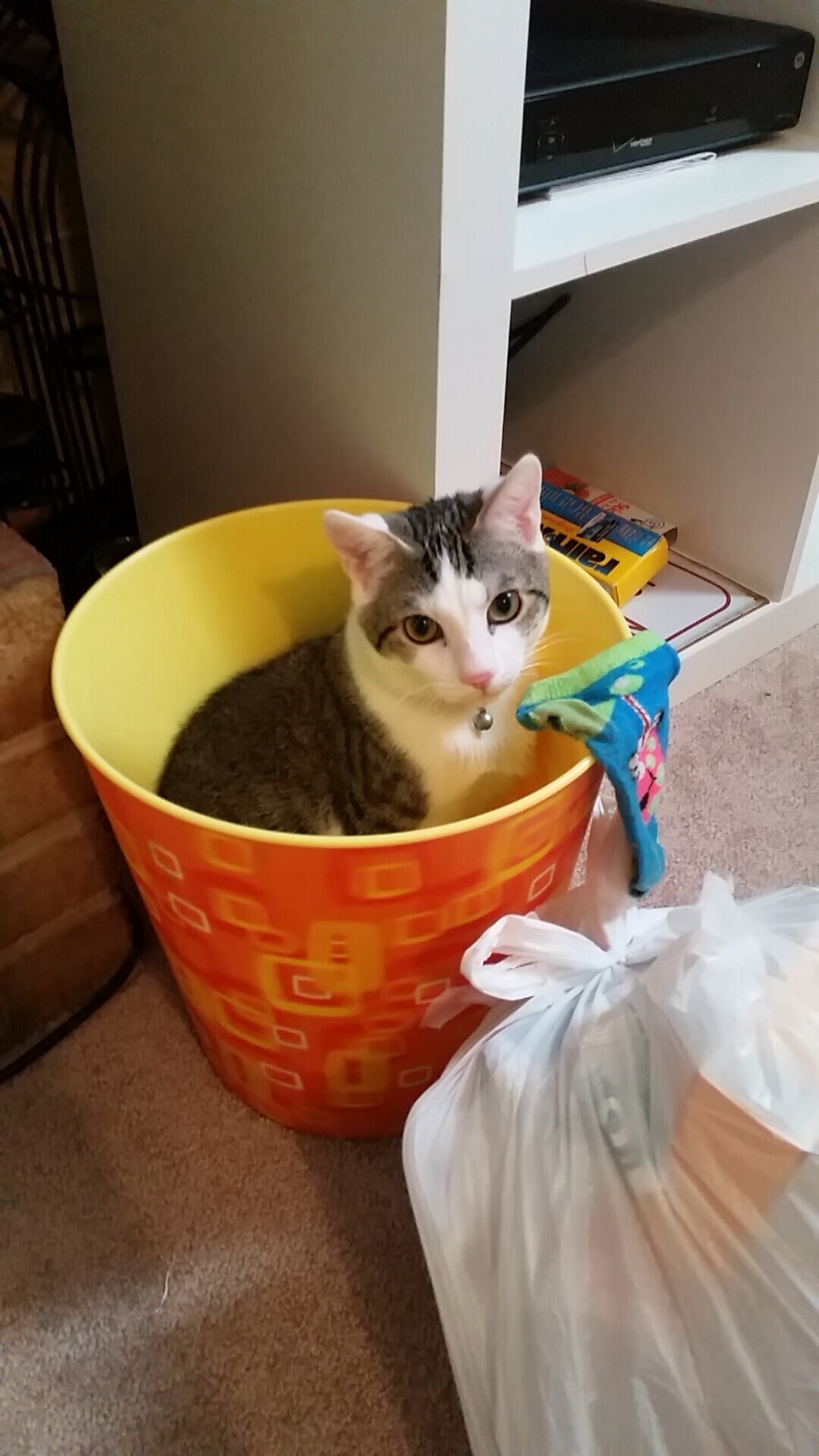 最后的哨声,当比利亚雷亚尔的橄榄球之痛,遇见曼彻斯特蓝月的锋刃