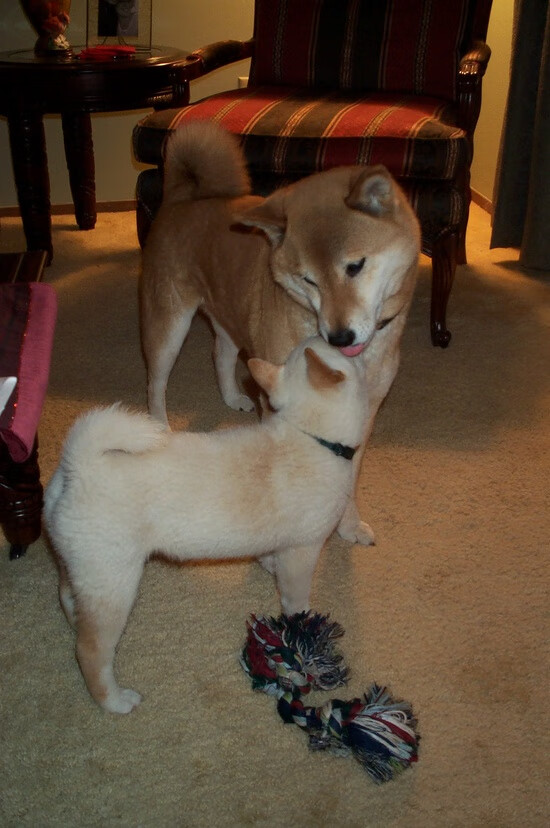 霍勒迪之夜，欧冠决赛场上唯一满分的守护者