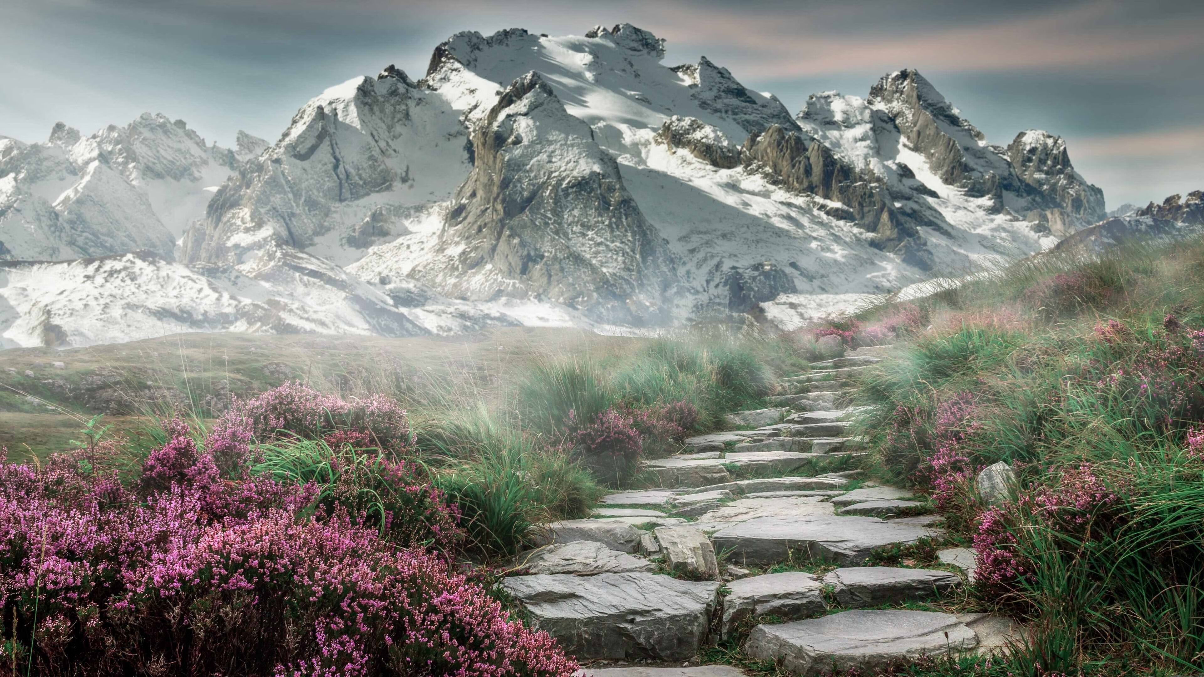 金字塔顶峰的对决，利物浦强势客串世界杯舞台，跨界绞杀阿根廷引燃足球新纪元