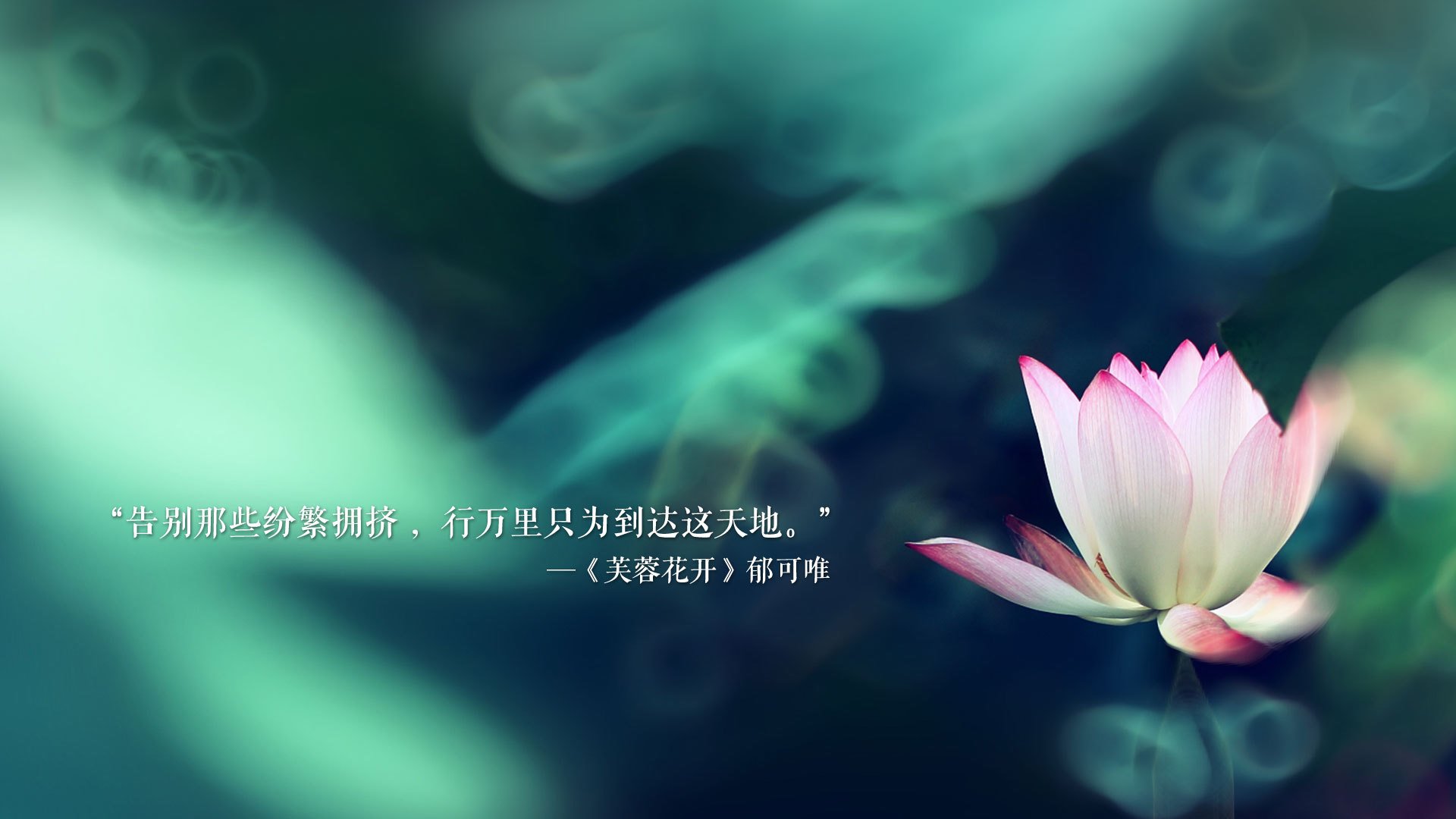 控球之王的孤注一掷,当印度在2026世界杯A组以迪亚斯的致命一击碾碎罗马尼亚
