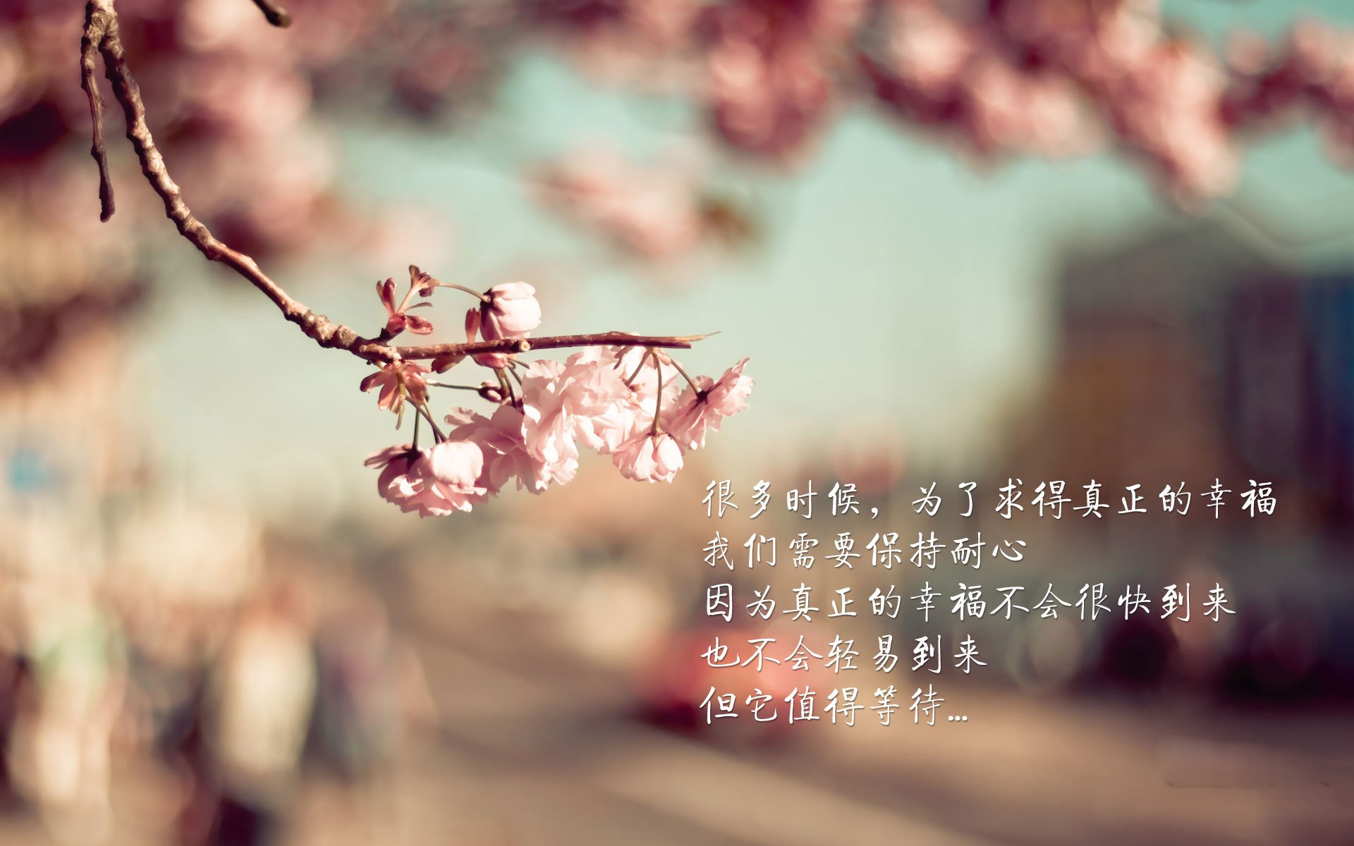 1.里斯本的回响,2026,当黄金一代的余晖撞上波斯铁骑的孤勇 侧重历史传承与悲壮对比