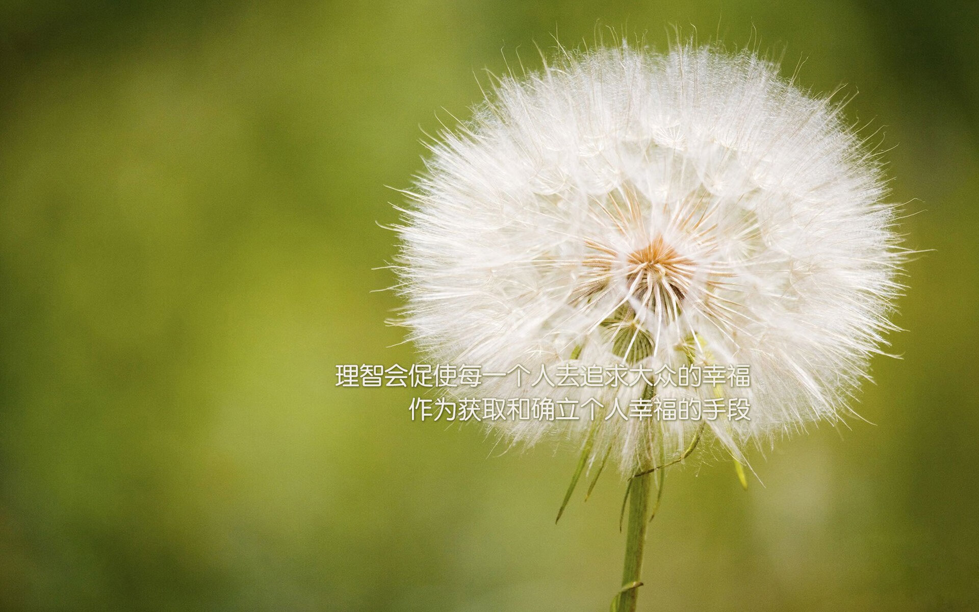 魔笛绝响,替补奇兵点燃沙漠之火,2026世界杯A组,哥伦比亚与摩洛哥的史诗级博弈
