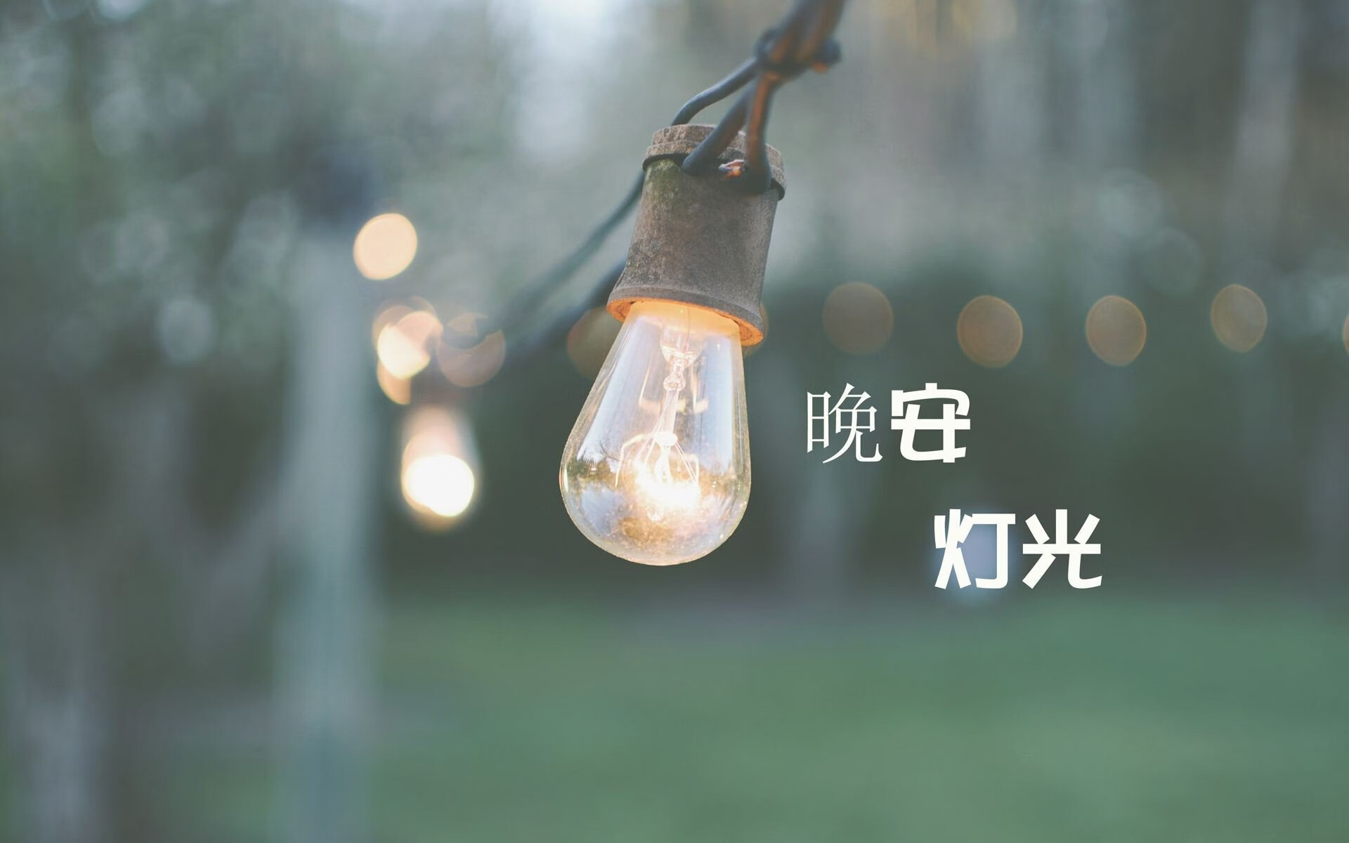 星条旗破东欧铁壁，坎塞洛璀璨之夜，美国队在2026世界杯H组强强对话中击溃斯洛伐克