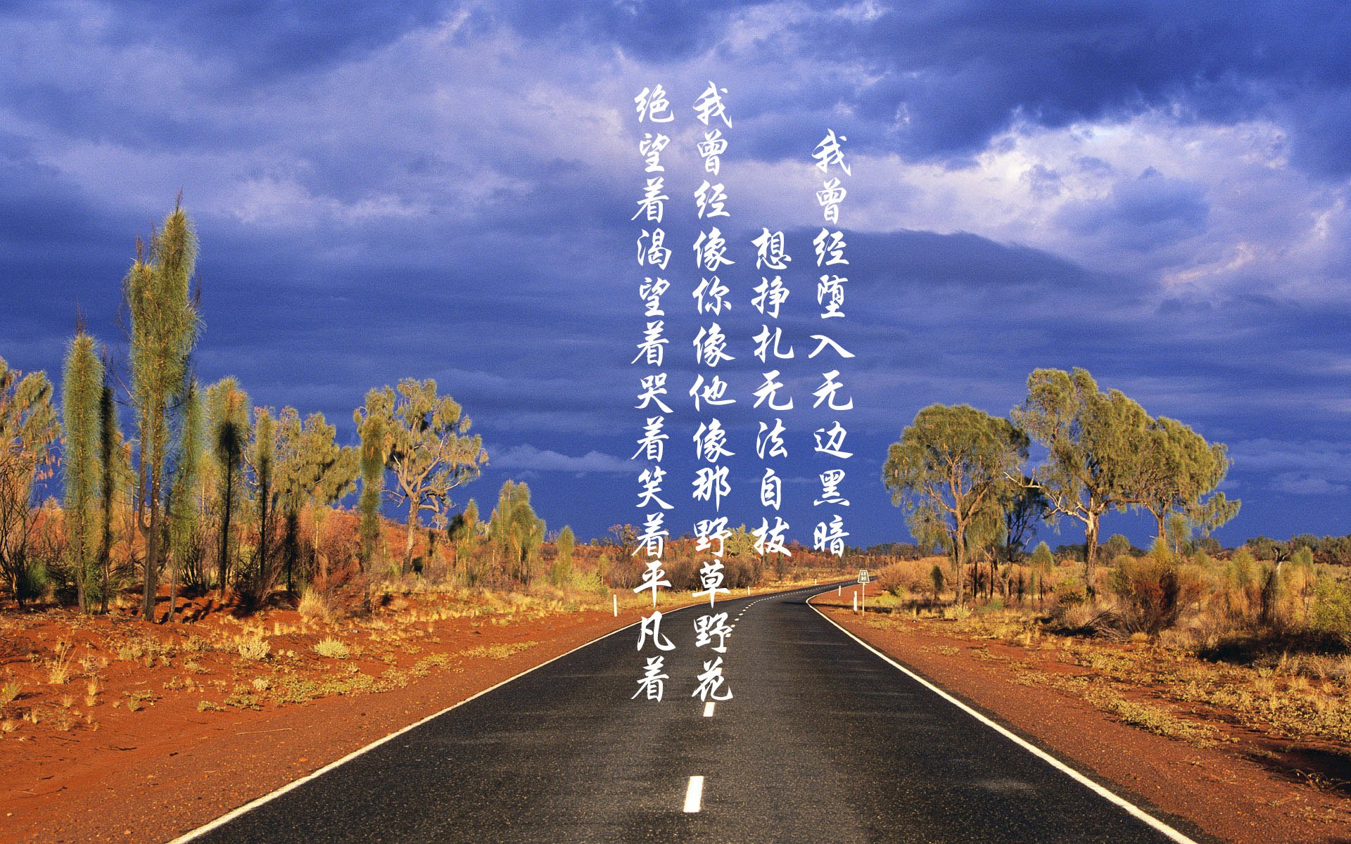 蓝白之盾，撑起南美荣光，2026世界杯半决赛，库尔图瓦封神之夜，乌拉圭全面压制哥伦比亚
