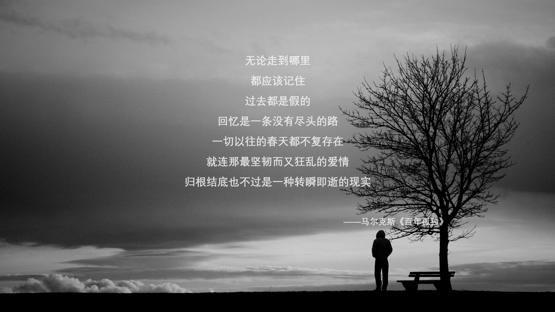 孤峰对决,2026世界杯强强对话焦点战,喀麦隆碾压匈牙利,努涅斯一人定乾坤