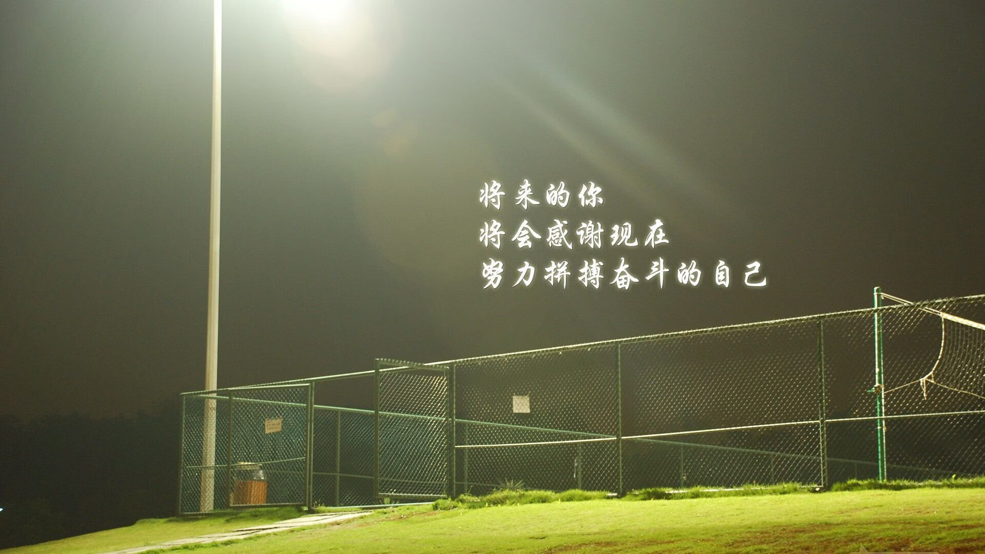 碾压与救赎,2026世界杯B组关键战,厄瓜多尔的高原风暴与姆巴佩的独舞